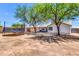 Spacious backyard with mature trees, trampoline, and block wall for privacy at 1858 S Ocotillo Dr, Apache Junction, AZ 85120