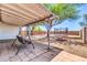 Shady backyard patio with a swing, trampoline, mature tree, and brick firepit at 1858 S Ocotillo Dr, Apache Junction, AZ 85120