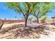 The backyard with gravel, mature trees, trampoline, fire pit, and block wall at 1858 S Ocotillo Dr, Apache Junction, AZ 85120