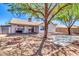 The backyard features a covered patio, seating, firepit, mature tree, and brick wall at 1858 S Ocotillo Dr, Apache Junction, AZ 85120