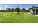 Well-maintained backyard with green grass and a young tree at 215 W Ruth Ave, Phoenix, AZ 85021
