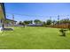 Expansive backyard featuring lush green grass, mature trees, and a covered patio at 215 W Ruth Ave, Phoenix, AZ 85021