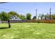 Expansive backyard featuring lush green grass, mature trees, and a secure wooden fence at 215 W Ruth Ave, Phoenix, AZ 85021