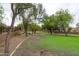 Scenic view of community green space, featuring mature trees, manicured lawns, and walking paths at 2221 W Calle De Las Estrella Way, Phoenix, AZ 85085