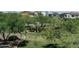 Lush community park featuring green spaces, mature trees, and well-manicured landscaping for resident enjoyment at 2412 W Gloria Ln, Phoenix, AZ 85085