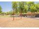 Playground with swings and mature trees in an open field with walking paths at 29481 W Mitchell Ave, Buckeye, AZ 85396