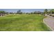 Large green community space that is well-maintained with walking paths and desert landscaping in the background at 549 E Quentin Ln, San Tan Valley, AZ 85140