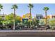 Charming street view of modern homes with palm trees lining the road and lush greenery at 706 E Washington St # 124, Phoenix, AZ 85034