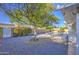 Landscaped backyard with gravel, desert plants, mature tree, and a refreshing swimming pool at 7428 E Cambridge Ave, Scottsdale, AZ 85257
