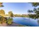 Enjoy the serene pond with a fountain, surrounded by beautiful landscaping and lush greenery at 7910 E Camelback Rd # 302, Scottsdale, AZ 85251