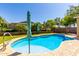 Backyard swimming pool with a safety handrail surrounded by lush landscaping, ideal for summer fun at 1229 W Sycamore Rd, Queen Creek, AZ 85140