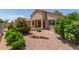 Charming backyard featuring desert landscaping, mature trees, and flowering bushes for a serene setting at 13657 W Holly St, Goodyear, AZ 85395