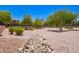 Landscaped common area featuring desert landscaping and mature trees at 16821 S 23Rd St, Phoenix, AZ 85048