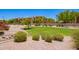 Grassy common area featuring manicured landscaping at 16821 S 23Rd St, Phoenix, AZ 85048