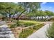 Beautifully landscaped community green space with mature trees and picnic pavilion at 1720 W Aloe Vera Dr, Phoenix, AZ 85085
