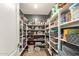 Walk-in pantry with ample shelving, providing generous storage space for all your needs at 17796 W Andora St, Surprise, AZ 85388
