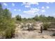 Beautiful desert landscape filled with native vegetation including cacti and shrubs at 19102 N 91St St, Scottsdale, AZ 85255