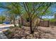 View of the landscaped front yard and driveway leading to the two-car garage at 1965 N 213Th Dr, Buckeye, AZ 85396