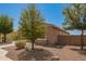 Well-kept side yard with desert landscaping, low-maintenance rocks, and established trees at 19889 W Sherman St, Buckeye, AZ 85326