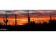 Fiery desert sunset featuring saguaro cacti silhouettes against a vividly colored sky at 27713 N 57Th Dr, Phoenix, AZ 85083