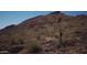 Desert hillside with natural vegetation, offering a tranquil and scenic backdrop at 27713 N 57Th Dr, Phoenix, AZ 85083