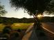 Scenic street view with lush landscaping, trees, and a paved path with mountain views at 27713 N 57Th Dr, Phoenix, AZ 85083