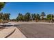 Neighborhood street with tree-lined medians at 319 N Riata St, Gilbert, AZ 85234