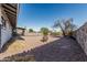 Expansive backyard featuring a stone fence, crushed gravel, and desert landscaping at 325 E Harmony Ave, Mesa, AZ 85210