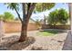 Large backyard featuring decorative rock and desert landscaping with mature shade trees at 3534 E Linda Ln, Gilbert, AZ 85234