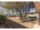 Spacious backyard with a large tree and covered patio offers a serene outdoor living space at 6820 E Pinchot Ave, Scottsdale, AZ 85251