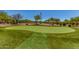 Lush backyard putting green featuring well-manicured grass at 8304 E Inca St, Mesa, AZ 85207
