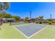 Well-maintained outdoor pickleball court with green and gray surface, surrounded by fencing and landscaping at 9372 W Louise Dr, Peoria, AZ 85383