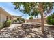 Grassy backyard with a mature shade tree and covered porch at 11033 E Keats Ave, Mesa, AZ 85209