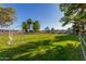 Large grassy backyard featuring mature trees, fencing, and soccer nets at 11143 E Vallejo St, Chandler, AZ 85248