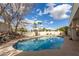Sparkling backyard pool with palm trees and a serene, fenced outdoor living space at 15602 N 19Th St, Phoenix, AZ 85022