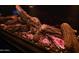 A close-up of a modern electric fireplace insert with logs and simulated embers at 28349 N 113Th St, Scottsdale, AZ 85262