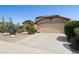 Single-story home showcasing desert landscaping, a bull skull decoration and a wide driveway at 42076 W Colby Dr, Maricopa, AZ 85138