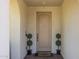 Close-up of a welcoming front door with topiaries and a stylish welcome mat at 4346 S Synapse Dr, Mesa, AZ 85212