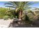 Lush backyard featuring a decorative water feature and mature landscaping at 4524 E Narrowleaf Dr, Gilbert, AZ 85298