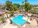 A luxurious pool area with beautiful landscaping, a built-in barbecue, and towering palm trees at 8606 S Dorsey Ln, Tempe, AZ 85284