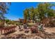 Expansive backyard features a brick firepit, dining table, shed, wood features, a green lawn, and mature landscaping at 8803 N 105Th Dr, Peoria, AZ 85345