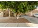 Single-Gathering home featuring a desert landscaped front yard, mature shade tree, and driveway leading to the garage at 9350 W Williams St, Tolleson, AZ 85353