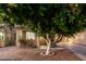 House exterior with desert landscaping and large shade tree at 9350 W Williams St, Tolleson, AZ 85353