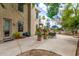 Large backyard patio with potted plants, ample seating space, and lush trees at 1571 E Saratoga Ct, Gilbert, AZ 85296