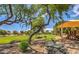 Community playground, framed by lush greenery, offering a shaded picnic area with playground at 1571 E Saratoga Ct, Gilbert, AZ 85296