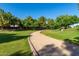 Picturesque walking path winds through a community open space lined with trees and lush green grass at 1571 E Saratoga Ct, Gilbert, AZ 85296