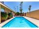 Inviting backyard pool surrounded by palm trees, lush landscaping, and a seating area, perfect for outdoor relaxation at 1630 W Calle Del Norte --, Chandler, AZ 85224