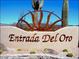 Decorative Entrada Del Oro community sign surrounded by desert landscaping at 18198 E El Viejo Desierto --, Gold Canyon, AZ 85118