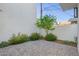Private back yard area featuring a beautiful brick patio with flowering bushes and decorative tree at 2130 E Turney Ave # 4, Phoenix, AZ 85016