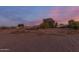 Large, open backyard perfect for recreation, offering ample space and beautiful sunset views at 22216 W Bajada Dr, Wittmann, AZ 85361